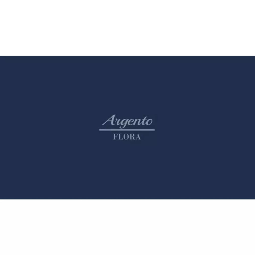 De'Longhi KBX3016.GR Argento Flora Kettle - Green